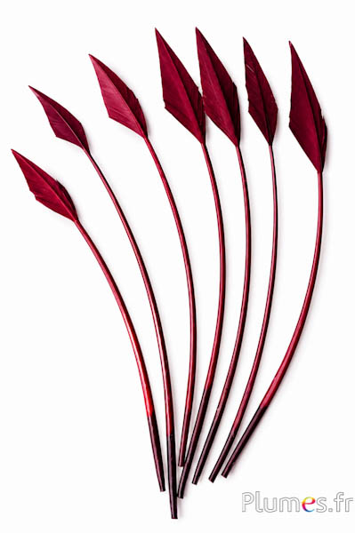 Schwan Pfeilform - 20-30 cm - bordeaux
